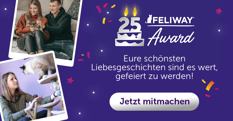 feliway erfahrungsberichte